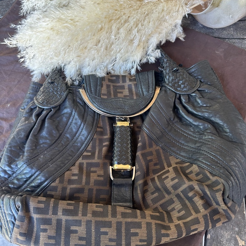 Fendi Black and Brown Women's Bag